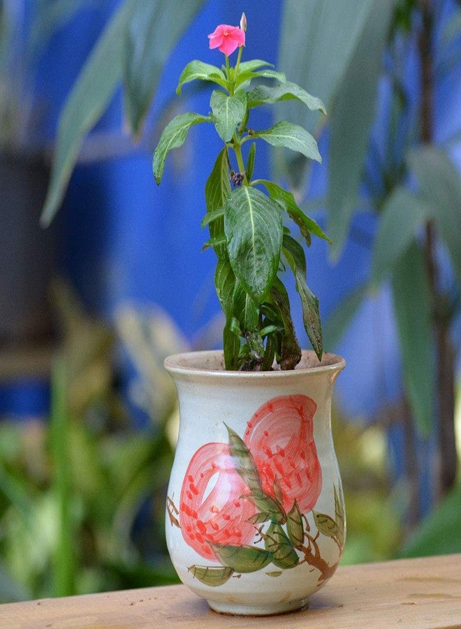 myBageecha Rummage in Wild Ceramic Flower Pot Handpainted Colorful Gifting - Image 2